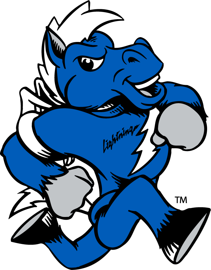 Middle Tennessee Blue Raiders 2015-Pres Mascot Logo t shirts iron on transfers...